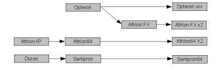proc amd