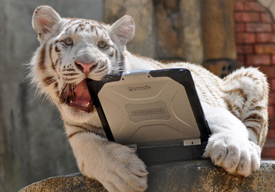 PanasonicTigre