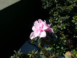 sgs3 test 03s