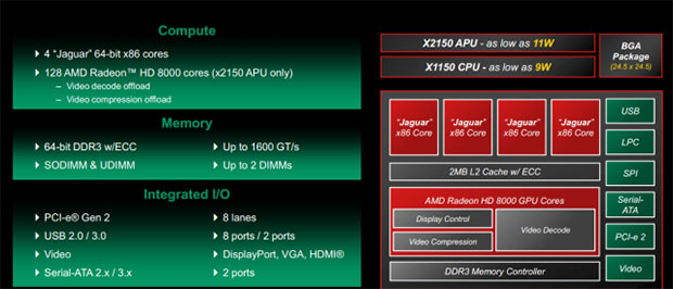 amd kyoto