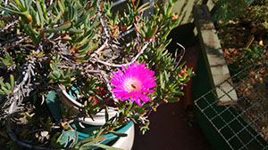 motog2014 test 03s