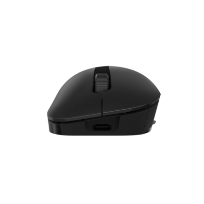 ProArt Mouse MD300 05