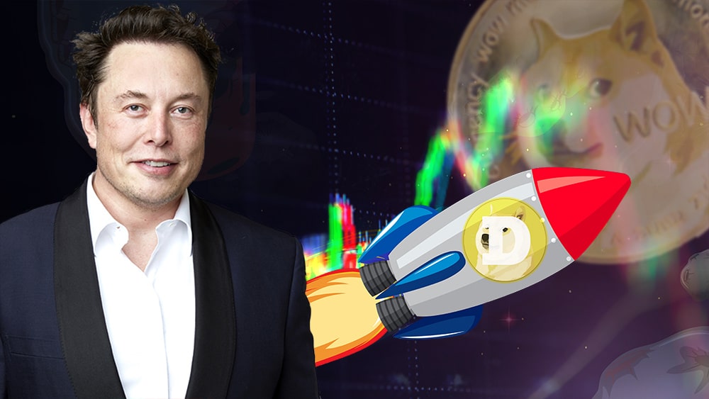 Musk Dogecoin 01